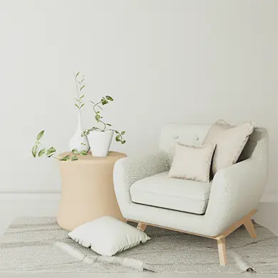 Services Design Package Chair and Plant